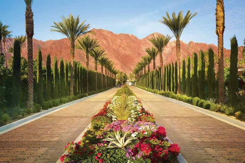 Desert resort arrival with palms and mountains